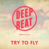 Try to Fly artwork