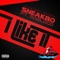 I Like It (feat. Moelogo) - Sneakbo lyrics