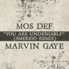 You Are Undeniable (Amerigo Remix) - Single ジャケット写真