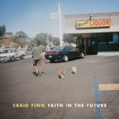 Craig Finn - Newmyer's Roof