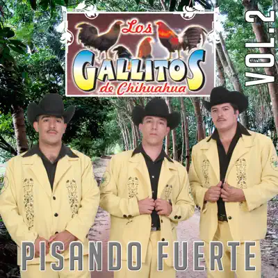 Pisando Fuerte Vol.2 - Los Gallitos De Chihuahua Pisando Fuerte Vol.2 - Los Gallitos De Chihuahua