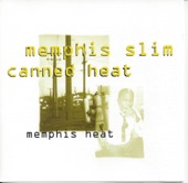 Memphis Heat artwork