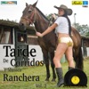 Tarde De Corridos Y Música Ranchera, Vol. 2