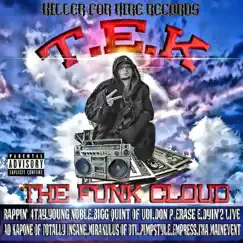 Funk Cloud by T.E.K. album reviews, ratings, credits