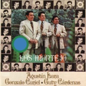 Los Montejo - Rosa