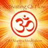 Activating Qi Flow With OM Mantra Meditation album lyrics, reviews, download