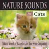 Nature Sounds for Cats: Natural Sounds of Nature to Calm Your Feline Companion album lyrics, reviews, download