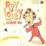 Roy Loney & Señor no - Love Is A Spider