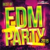 Best of EDM Party 2015