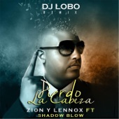 Pierdo la Cabeza (DJ Lobo Remix) [feat. Shadow Blow] artwork