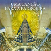 Nossa Senhora Aparecida Padroeira do Brasil artwork