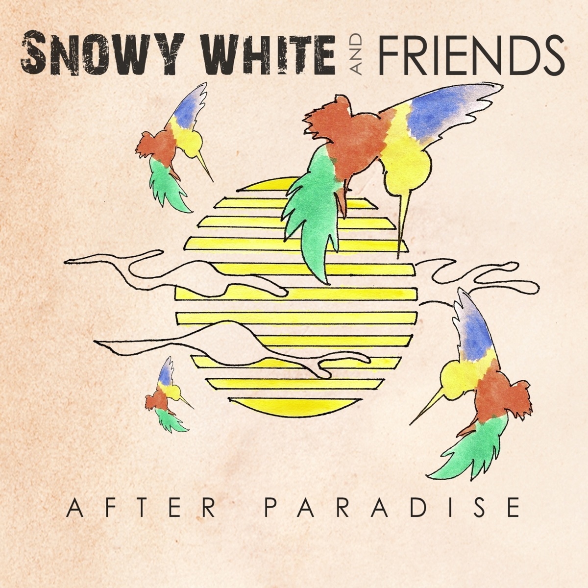 After Paradise Album Cover By Snowy White - 