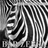 Bar Zebra: Jazz Collection, Vol. 10