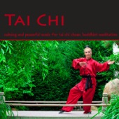 Tai Chi – Calming and Peaceful Music for Tai Chi Chuan, Buddhist Meditation, Qi Gong, Reiki & Raja Yoga artwork