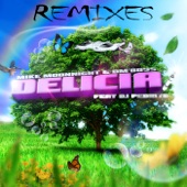 Delicia (feat. DJ Pedrito) [DJ Deck Remix] artwork