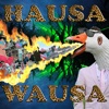 Hausa Wausa - Single