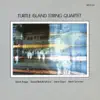 Turtle Island String Quartet album lyrics, reviews, download
