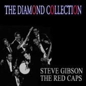 Steve Gibson - Palace of Stone (As the Toppers)