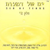 ילדתי artwork