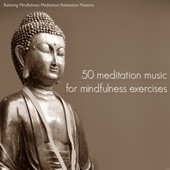 50 Meditation Music for Mindfulness Exercises - Meditation Songs & Relaxing Music for Yoga Meditation and Guided Imagery artwork