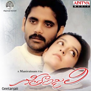 Geetanjali (Original Motion Picture Soundtrack)