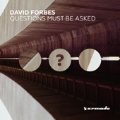 Questions Must Be Asked (Remixes) artwork