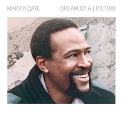 Marvin Gaye - It's Madness