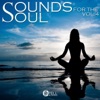 Sounds for the Soul Vol. 4