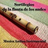 Sortilegios de la Flauta de los Andes - Música Andina Instrumental