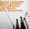 Non Sequiturs (feat. Tony Marino & Jim Black) album lyrics, reviews, download
