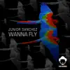 Wanna Fly album lyrics, reviews, download