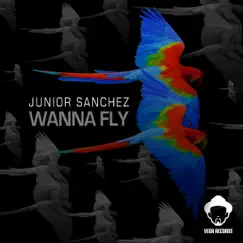 Wanna Fly by Junior Sanchez album reviews, ratings, credits