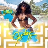 Lee Mazin - She Got It