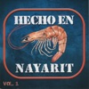 El Gato de Nayarit - El Corrido de Nayarit
