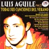 Luis Aguilé. Todas Sus Canciones Del Verano Vol.3, 2008