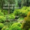 Zen Garden Sleep Talk-Down: A Guided Meditation - Jason Stephenson lyrics