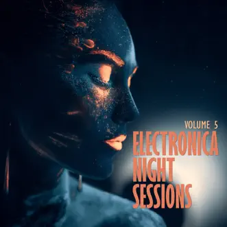 Electronica: Night Sessions, Vol. 5 by Various Artists album reviews, ratings, credits