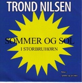 Sommer og sol i Storbruhørn artwork