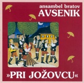 Ansambel Bratov Avsenik - Večer Na Robleku