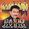 Dario Dario Dario Dario