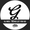 Stream & download Never Let You Go - Single