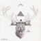 Camminando - Raffaele Effe lyrics