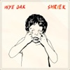 Shriek (Deluxe Version), 2015