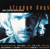 Strange Days (feat. Ray Manzarek) artwork