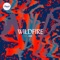 Wildfire (feat. Joel Ramsey) artwork