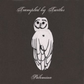 Trampled by Turtles - It's a War