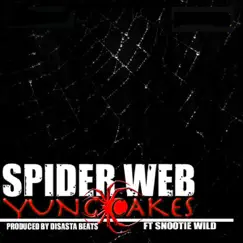 Spider Web (feat. Snootie Wild) Song Lyrics