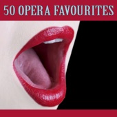 50 Opera Favourites artwork