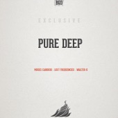 Pure Deep (feat. Lauren) artwork