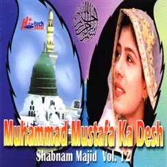 Muhammad Mustafa Ka Desh Vol. 12 - Islamic Naats by Shabnam Majid album reviews, ratings, credits